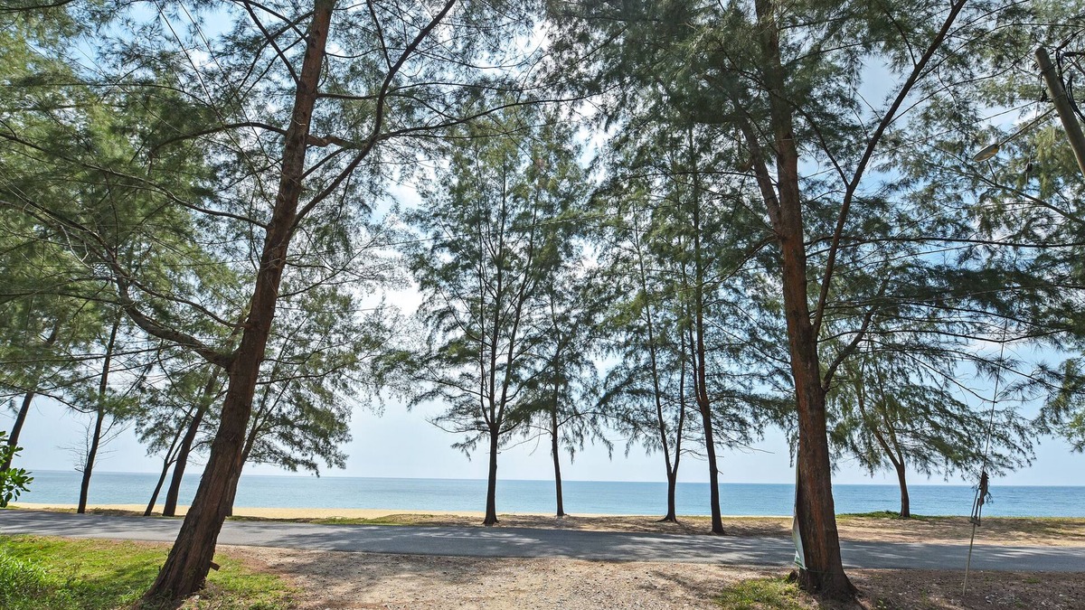 Dungun Hotel | Oyo 90596 Casaria Inn