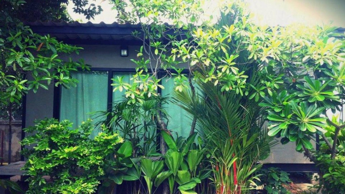 Kaeng Khoi Hotel | Paan Puan Place