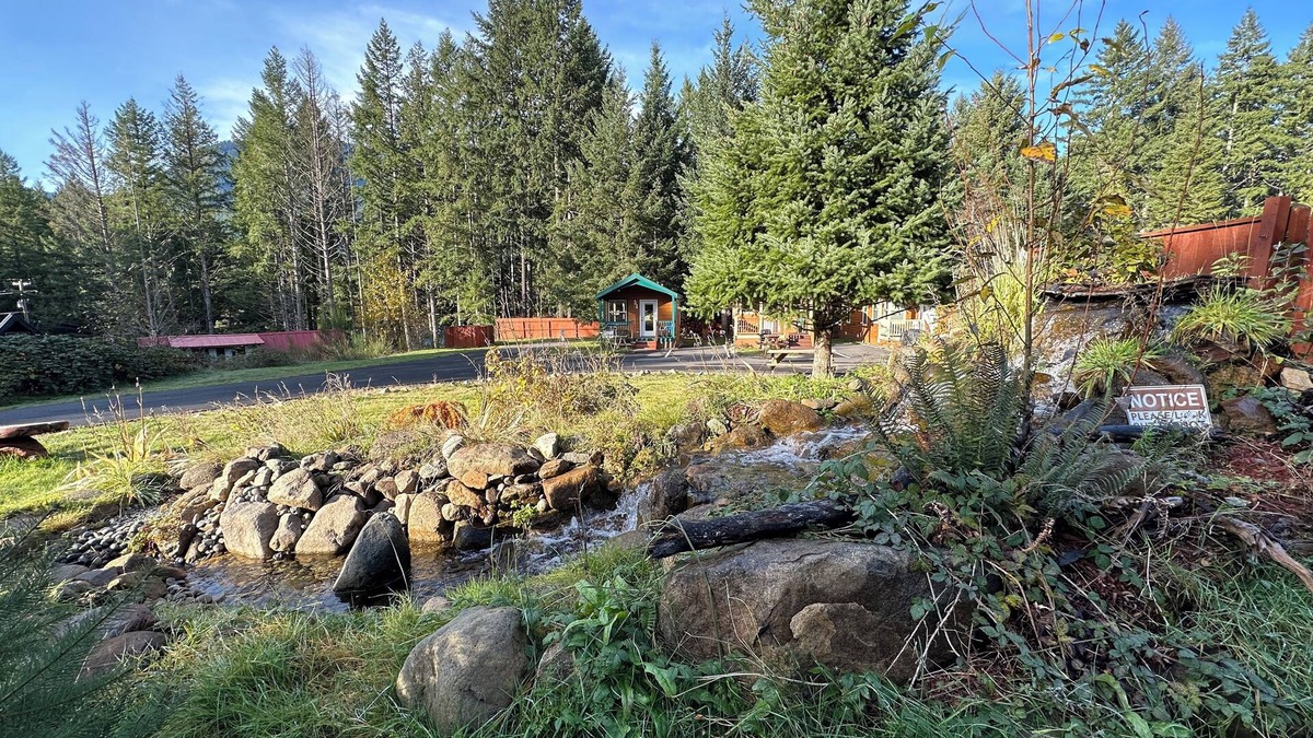 Packwood Cabin | Packwood Lodge