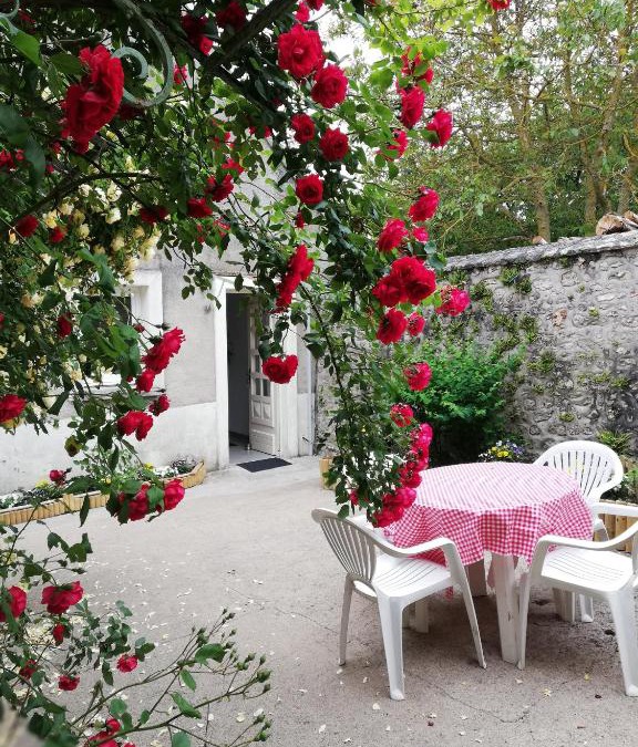 Courbouzon House | Paille de blé
