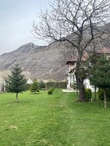 Boge House | Paja Guesthouse - Camping