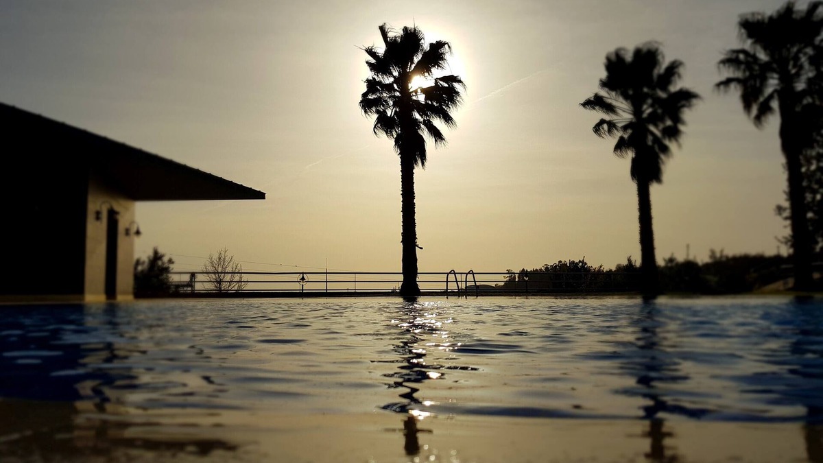 Coimbra Hotel | Palácio São Silvestre - Boutique Hotel