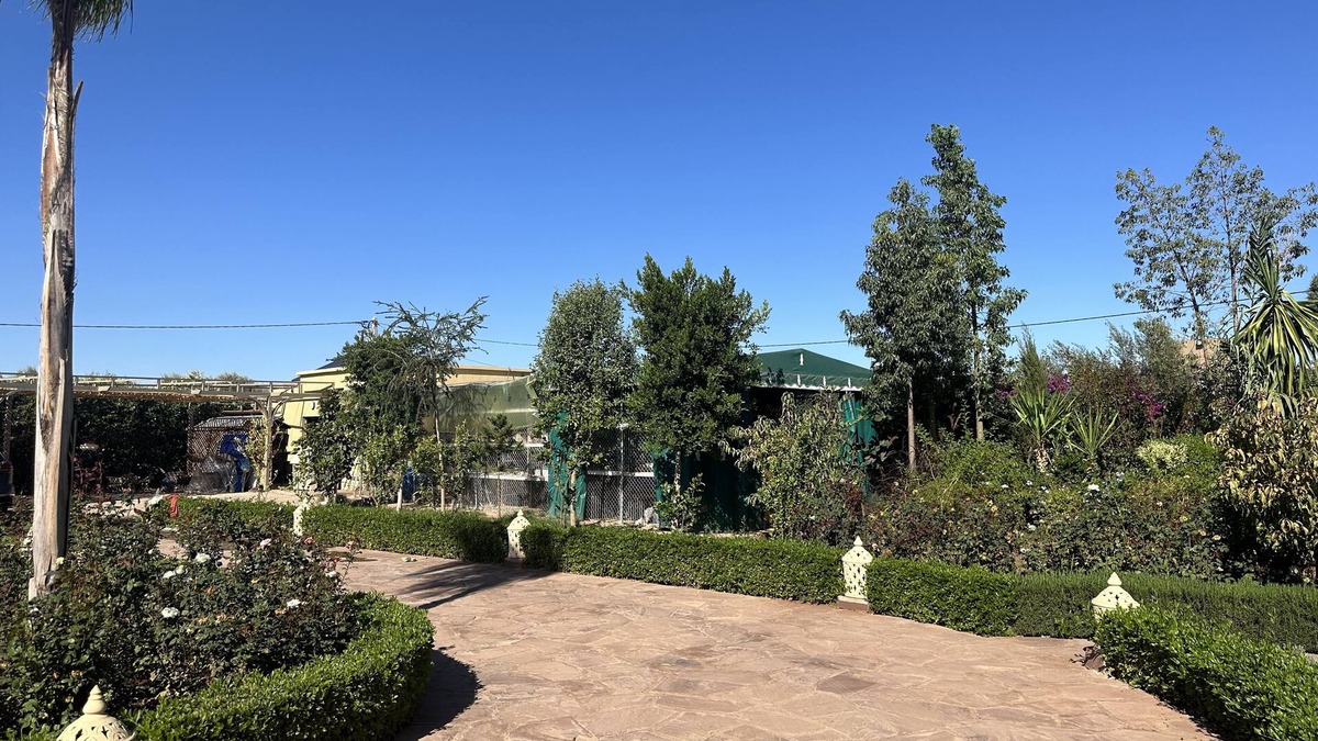 Arset El Bilk Villa | Palais dor