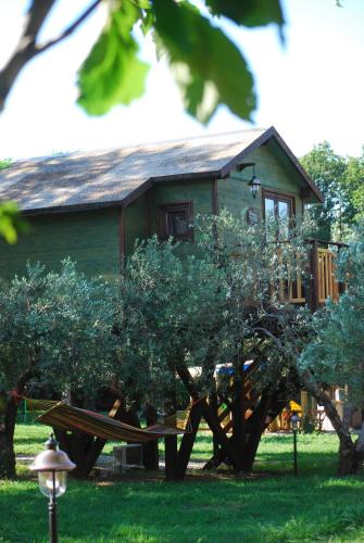 Marano Marchesato Bed & Breakfast | Palazzo Conforti Tree House Resort
