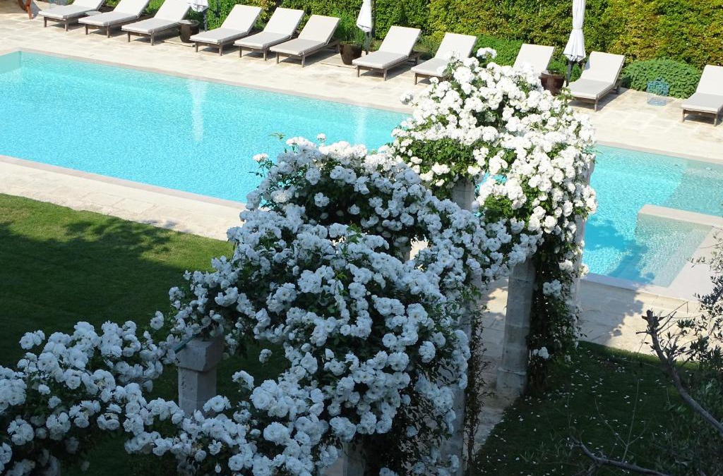 Minervino di Lecce Hotel | Palazzo Ducale Venturi - Luxury Hotel & Wellness