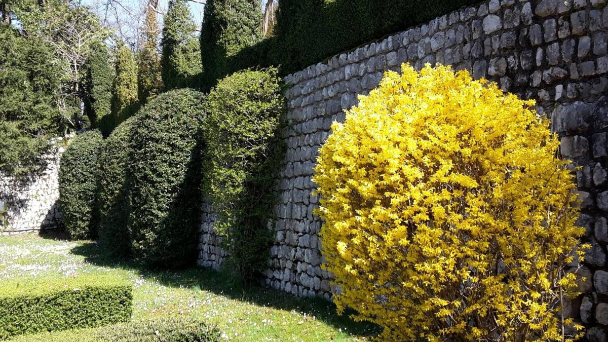 Polcenigo Bed & Breakfast | Palazzo Scolari B&B