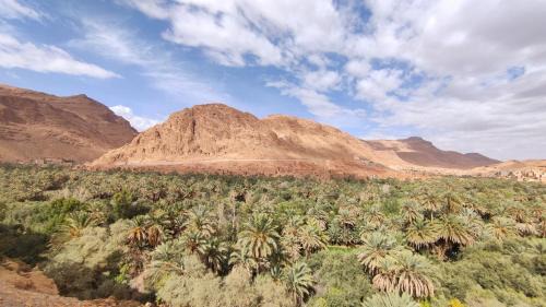 Toudgha El Oulia House | Palmeraie Guest House