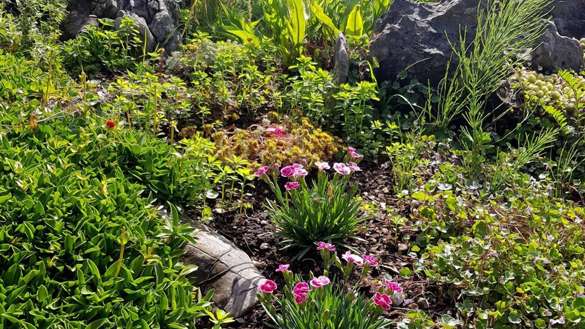 Bad Ischl House | Pan Haus Bad Ischl