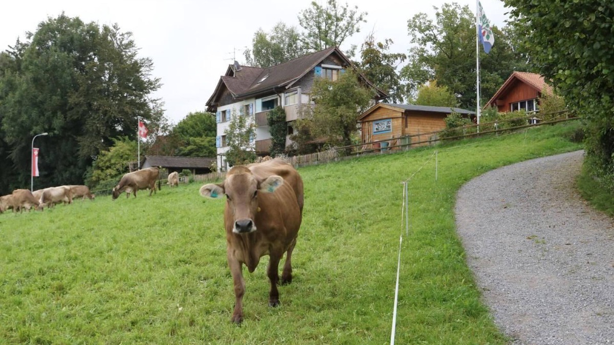 Egnach Apartment | Panorama Blick