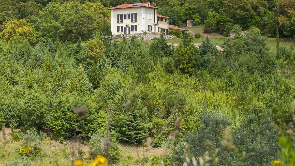 Massa Marittima Apartment | Panorama-Ferien-ToscananYour vacation home in Tuscany