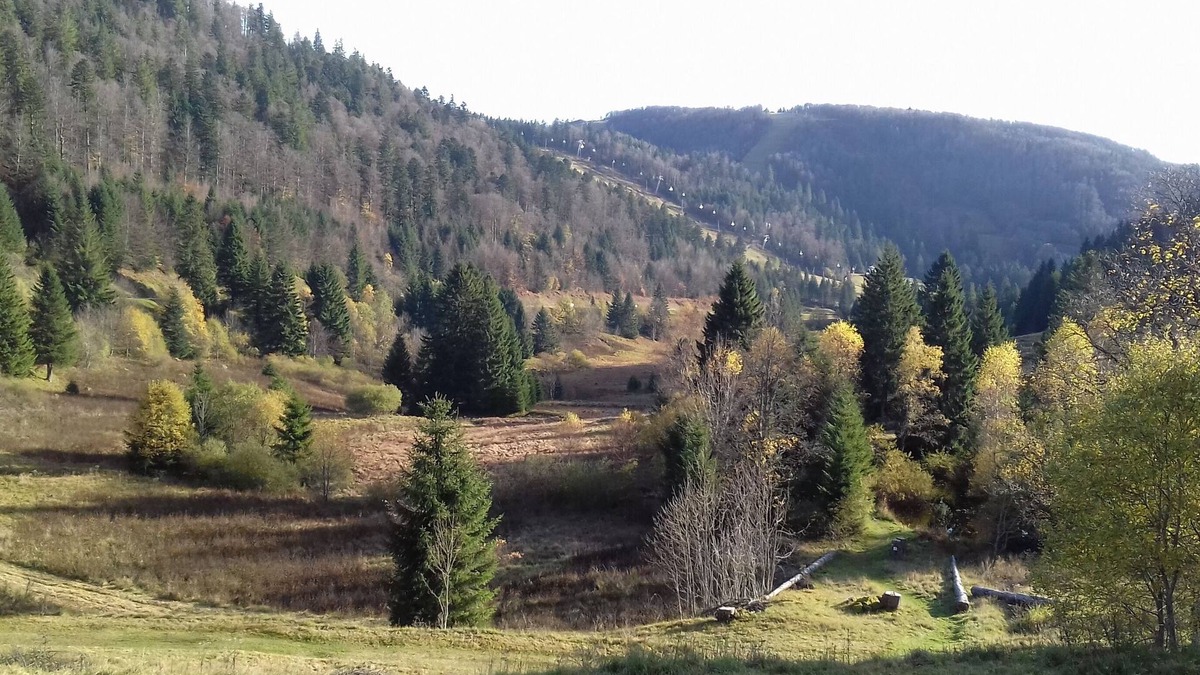 La Bresse Apartment | Panoramic view apartment on the slopes of Labresse and La Tourbière