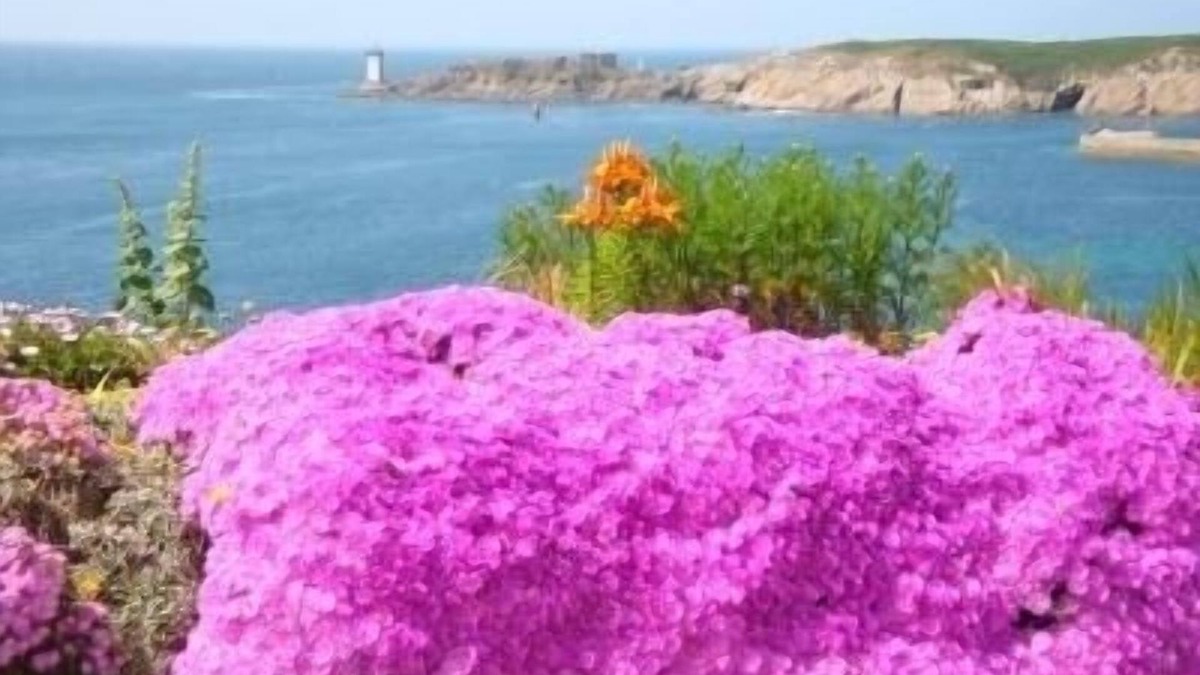 Le Conquet Apartment | Panoramic view of the Iroise Sea, its lighthouses, its islands (Ouessant, Molène)