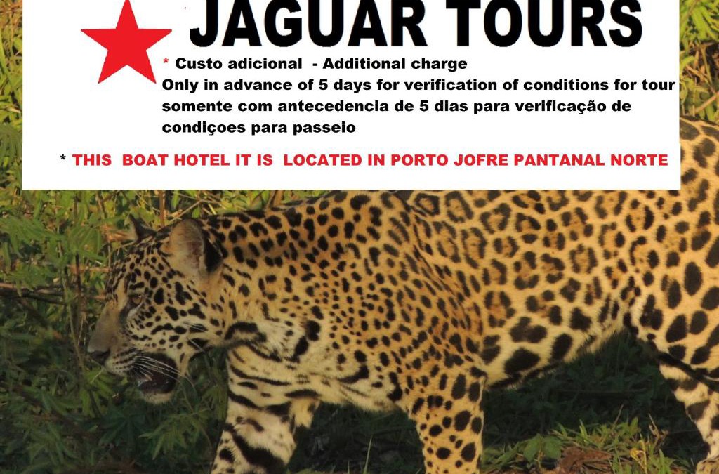 Pocone Hotel | Pantanal ocelotnatur Floating hotel barco do Antonio