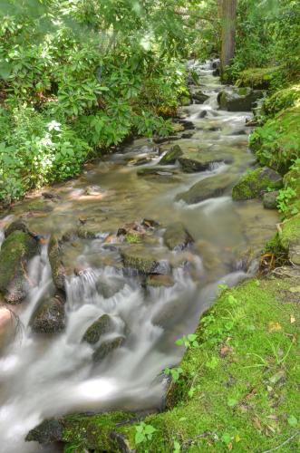 Cherokee Apartment | Panther Creek Cabins