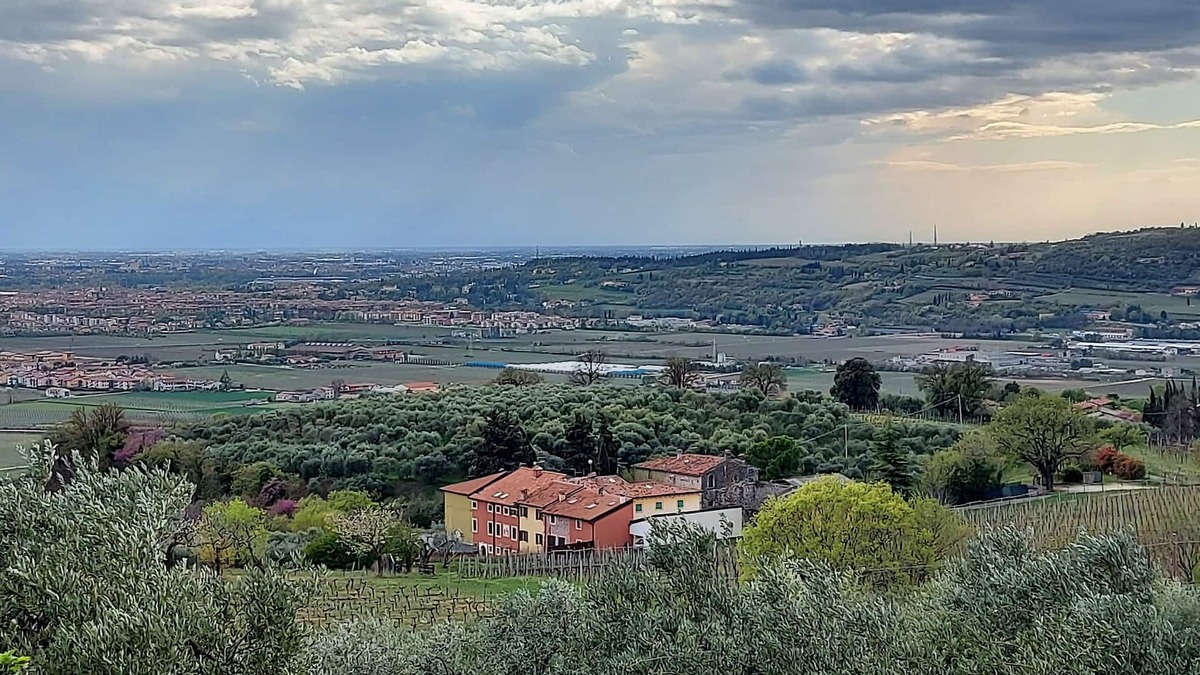 Nord-Est Apartment | Paradise among the hills of Verona CIN:IT023091C2DBV99YCY