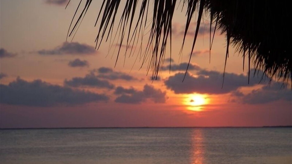 Key Largo Condo | Paradise for Rent (Condo and Private Boat Slip) monthly discount for sept & oct