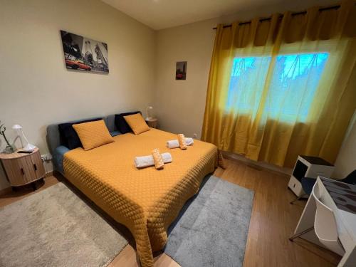 Apelacao House | Paradise