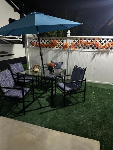 Tampa Apartment | Paradise