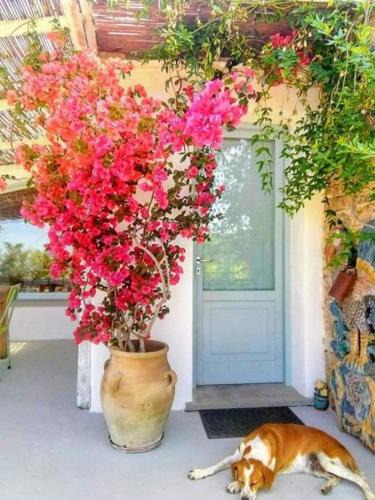 Frascinelle House | Paradiso verde a poca distanza dal mare