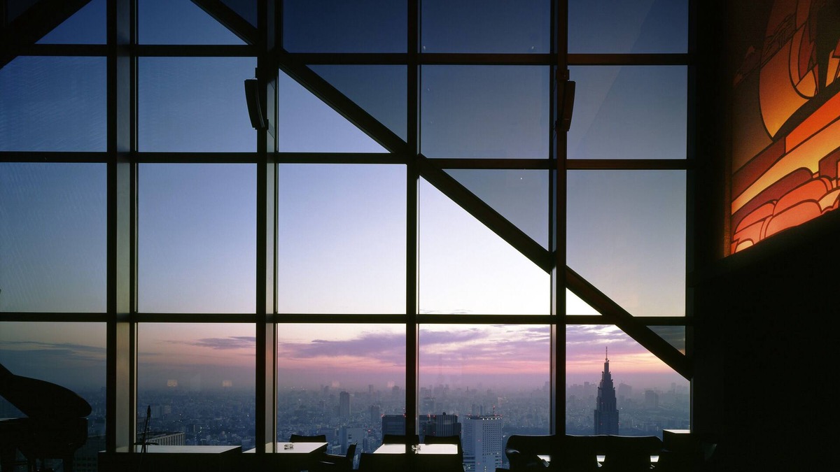 Nishi-Shinjuku Hotel | Park Hyatt Tokyo