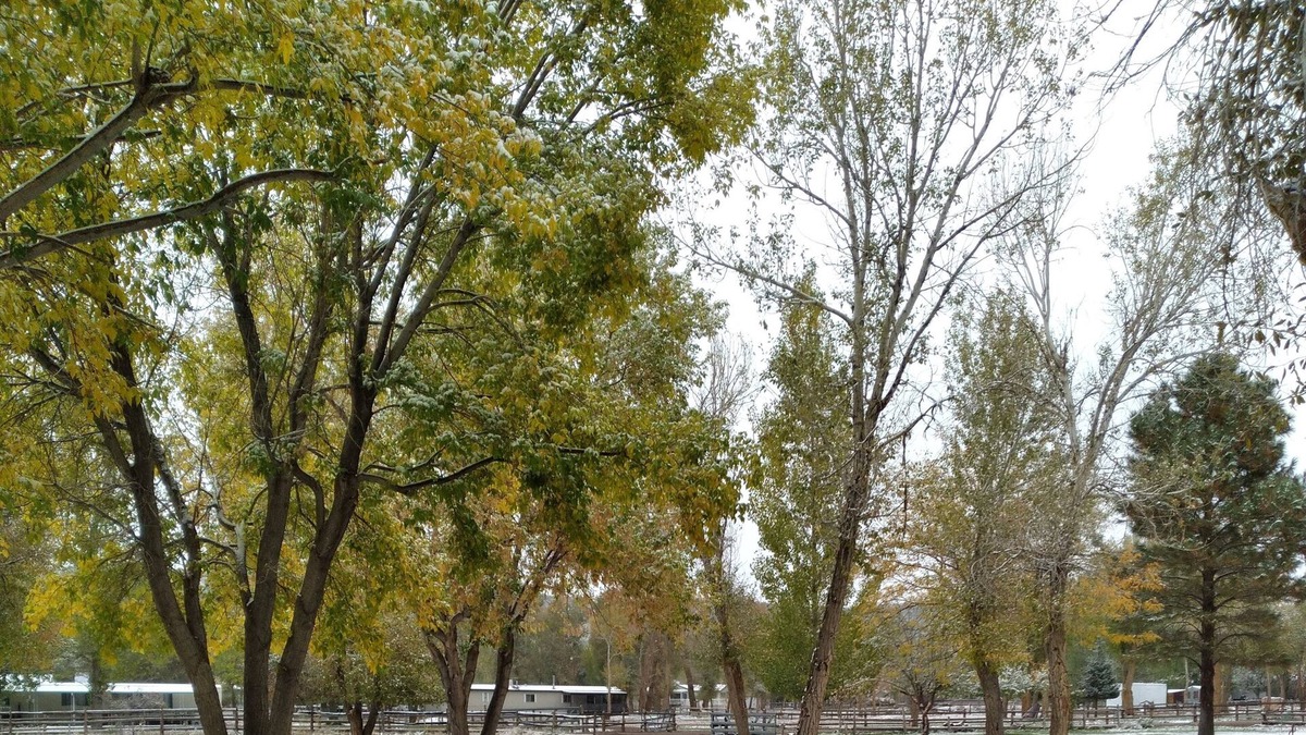 Beaver RV Rental | Park your RV in a 1 acre yard where mule deer and wild turkeys roam daily.