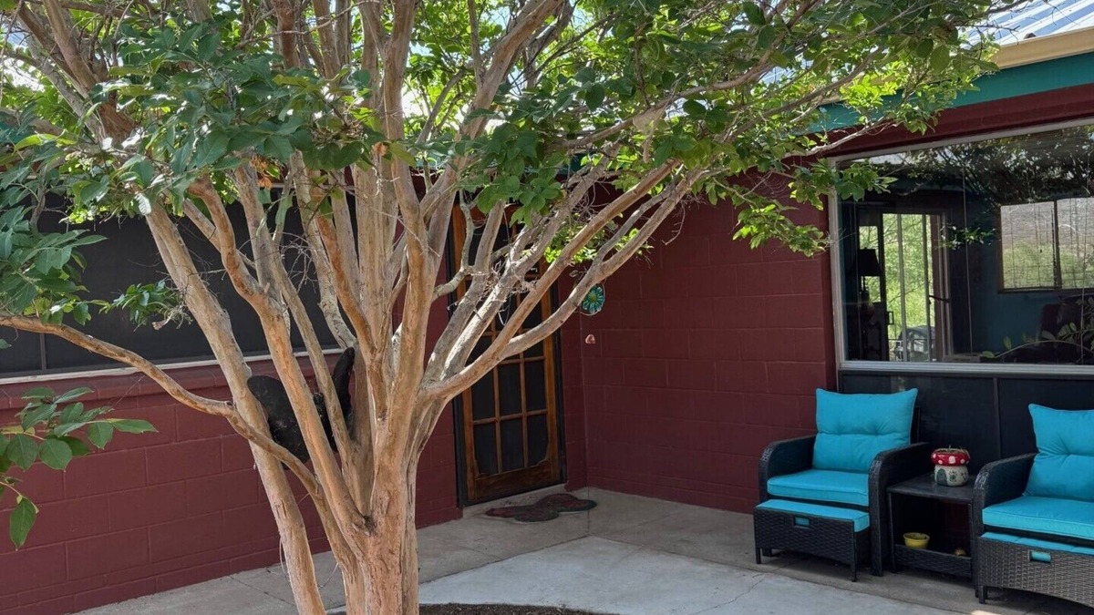 Truth or Consequences House | Parkside Retreat - Walk to Hot Springs & Downtown