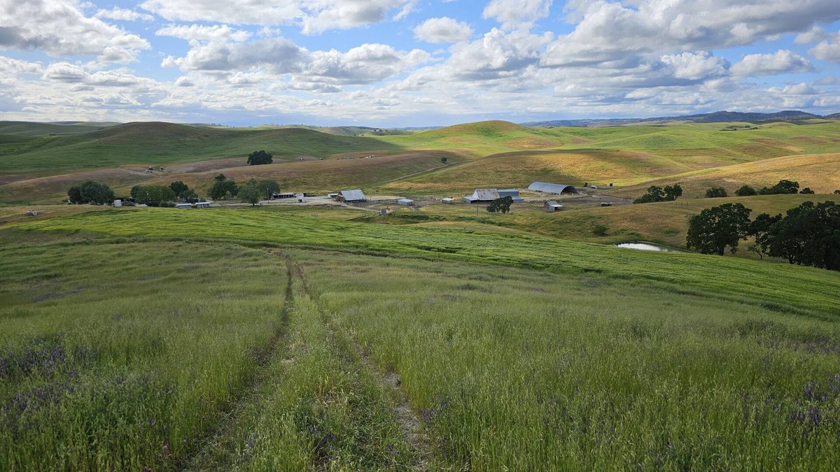 San Miguel Cabin | Paso Robles Ultimate Farm Stay! Country Oasis! Very Unique!