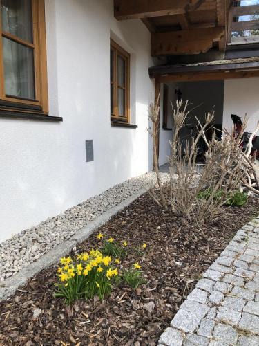 Steinberg am Rofan Apartment | Patagonien