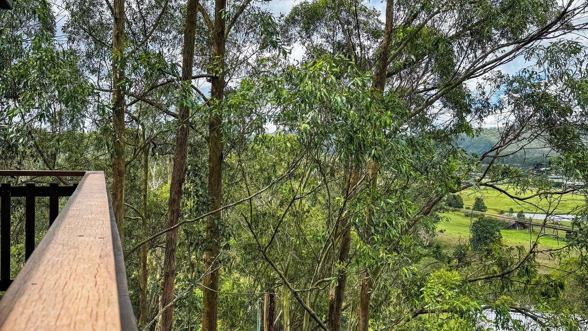Paterson Cabin | Paterson Skywalk & Bush Bedroom