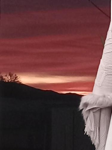 Quartzsite Hostel | PATTYS Rv, 3 private sleeping g spaces, 1 shared