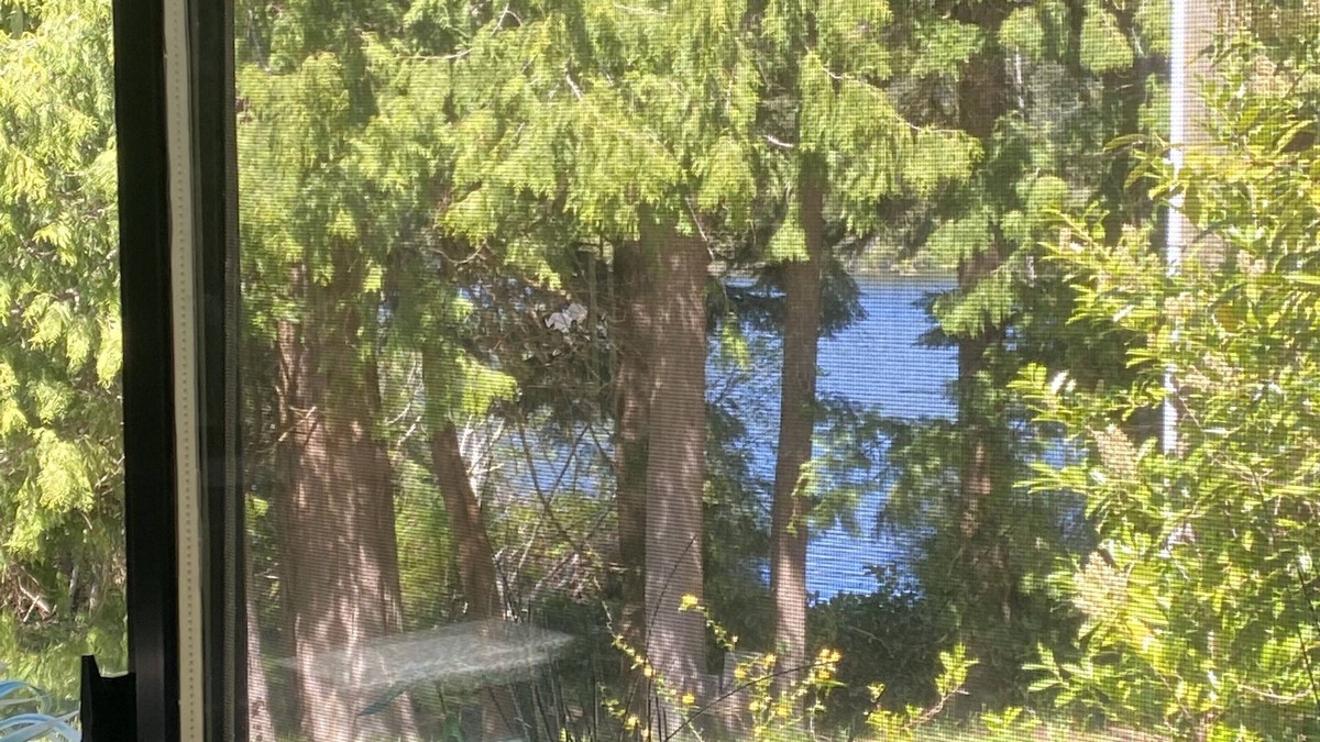 Garden Bay Cottage | Paul's Cottage