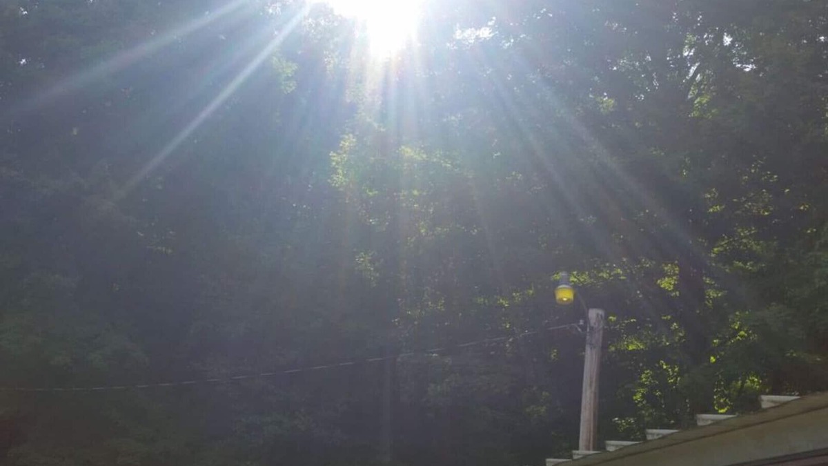 Uhrichsville House | Peace and tranquilty await you at The Buck Shack