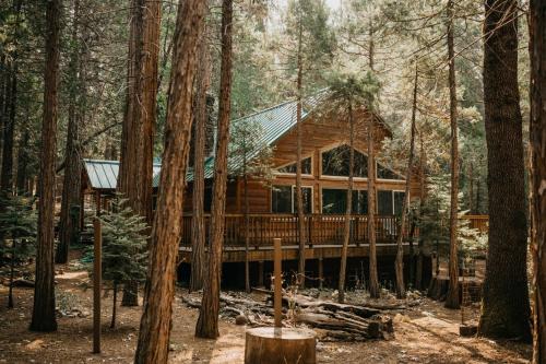 North Wawona House | Peace of Mine - Cabin inside Yosemite! - Dog Friendly!