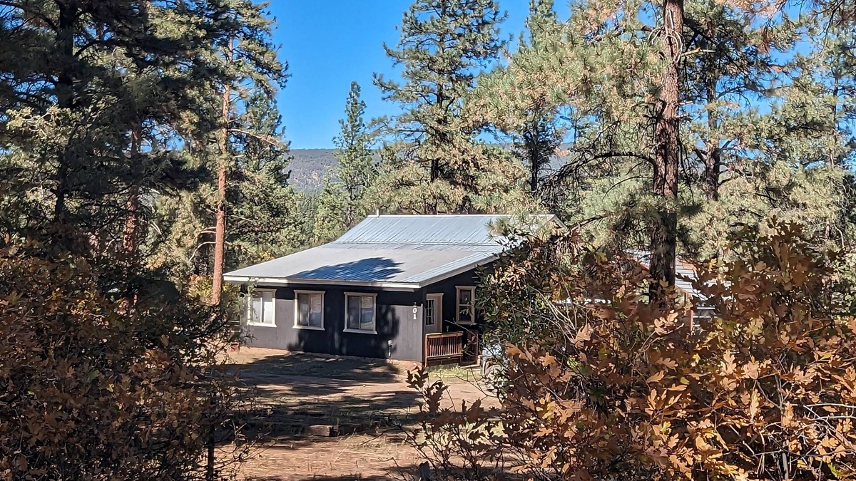 Aspen Springs House | Peaceful 2-Bedroom Retreat in the Pines – Pet-Friendly with Mountain Charm