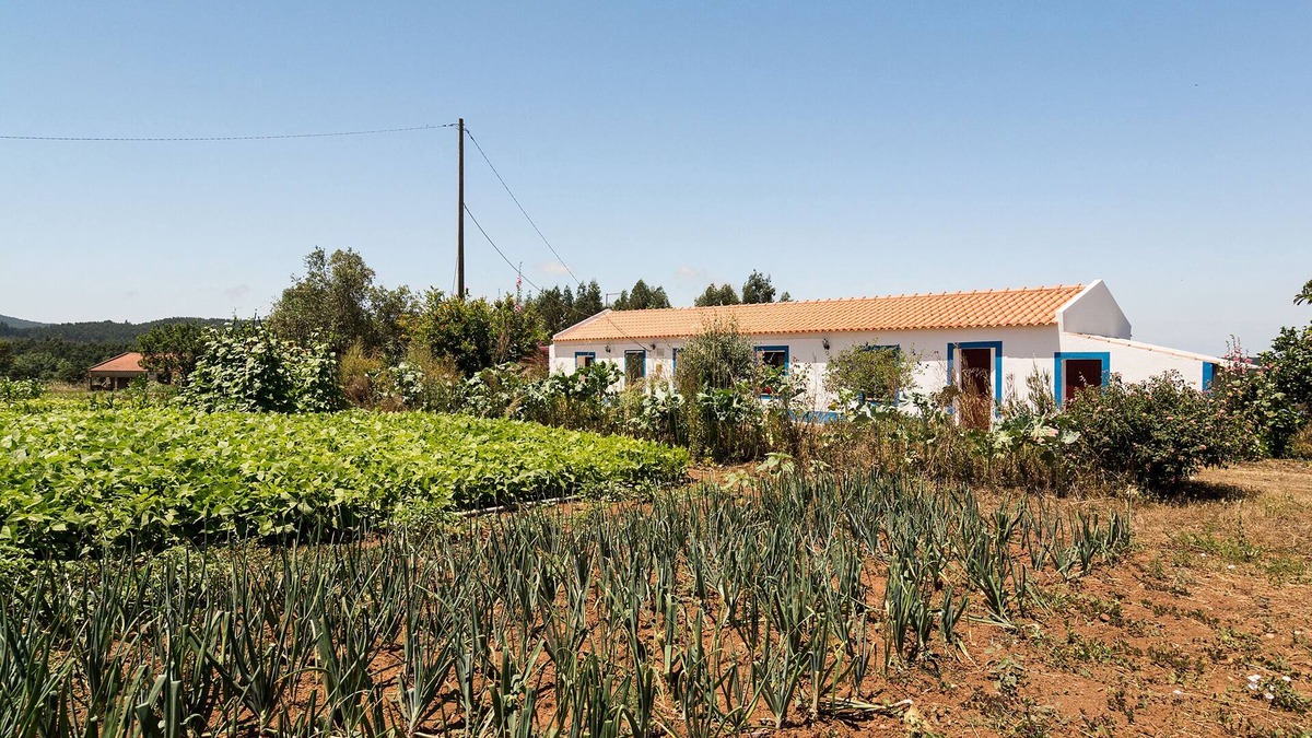 Santiago do Cacem Other | Peaceful animal farm with stunning starlit sky