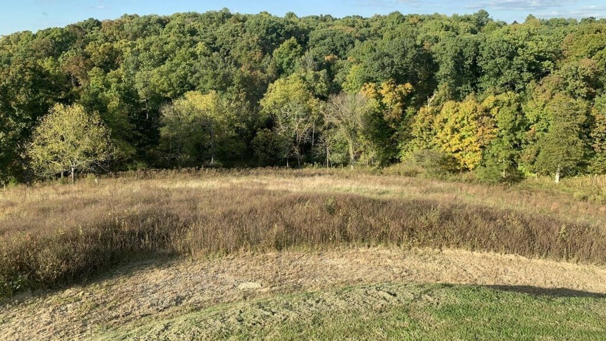 Perry Park Cabin | Peaceful, Beautiful Views, 10 miles to State Capitol