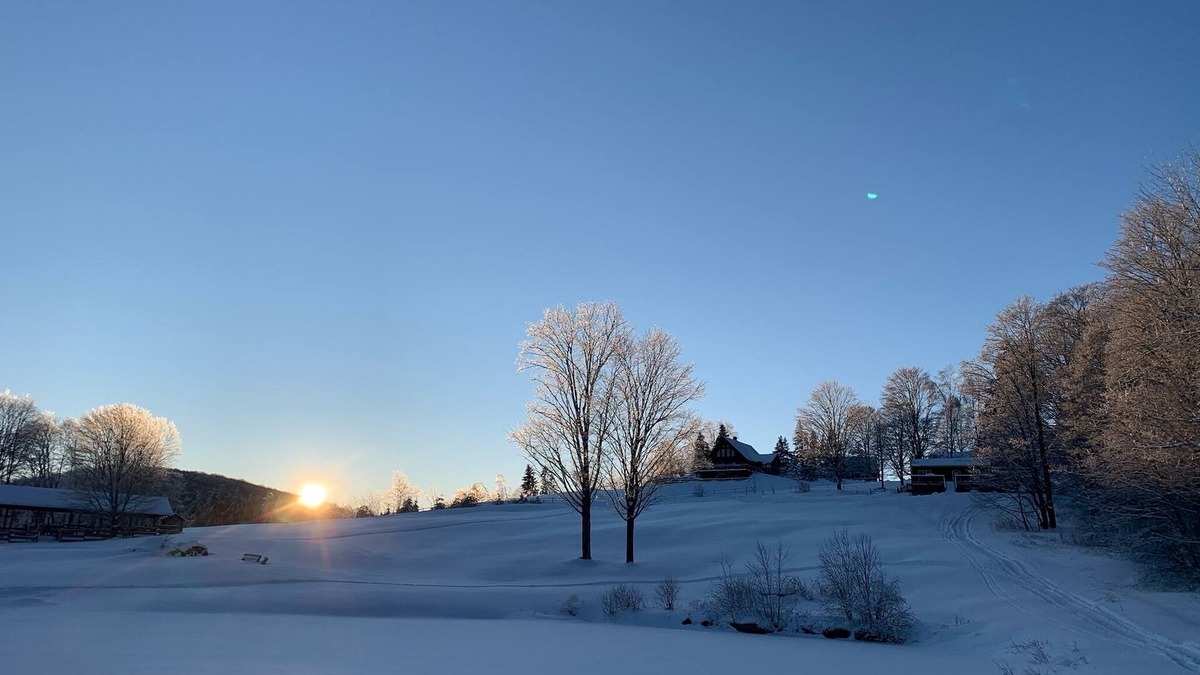 Washington Cabin | Peaceful, cozy, off-grid cabin on a horse farm in the beautiful mountains of VT.
