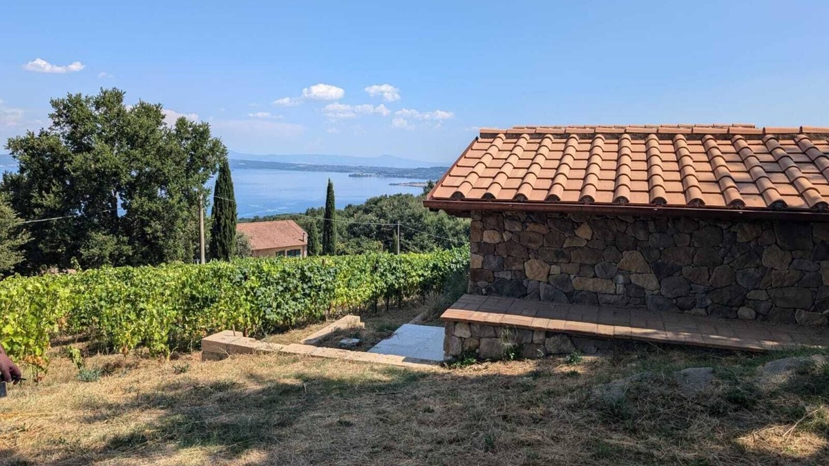 Gradoli Apartment | Peaceful getaway in the Italian countryside, surrounded by vineyards