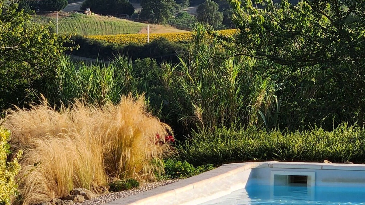 Canens House | Peaceful gîte in the heart of nature with large swimming pool and view of the Pyrenees.
