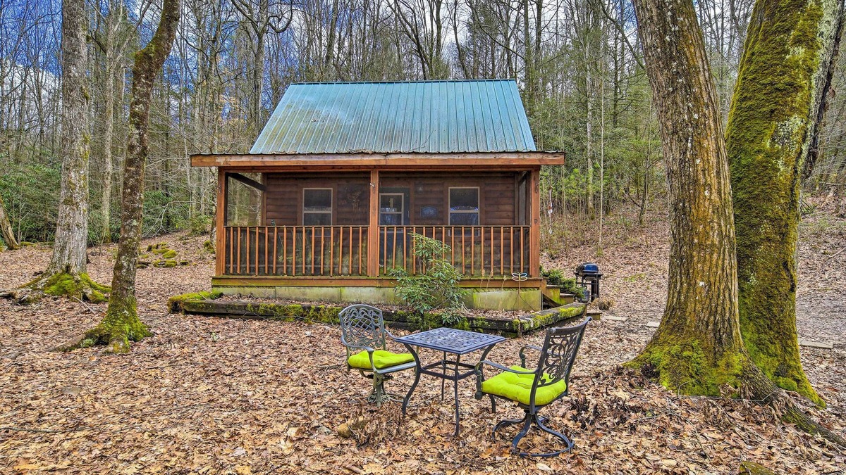 Butler Apartment | Peaceful Mountain City Cabin w/Porch & Fire Pit