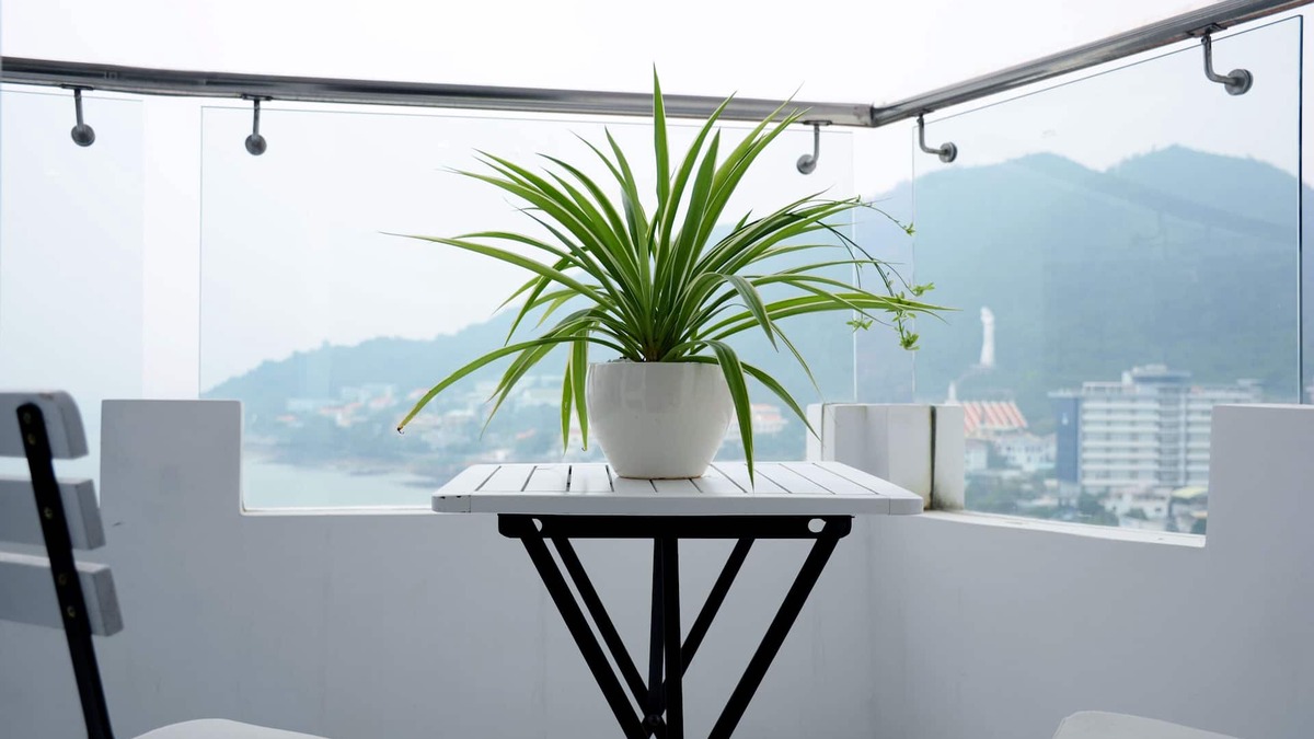 Vung Tau Apartment | Peaceful oasis for a sweet escape in Vung Tau