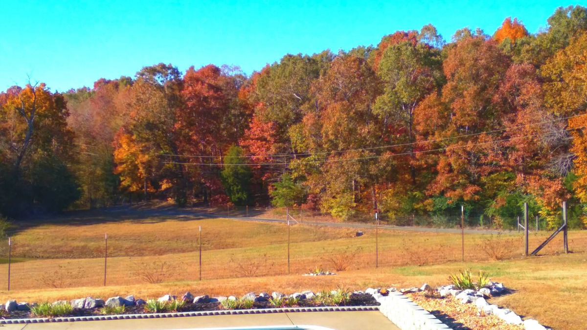 Florence Other | Peaceful Pastures - Secluded Couple's Retreat