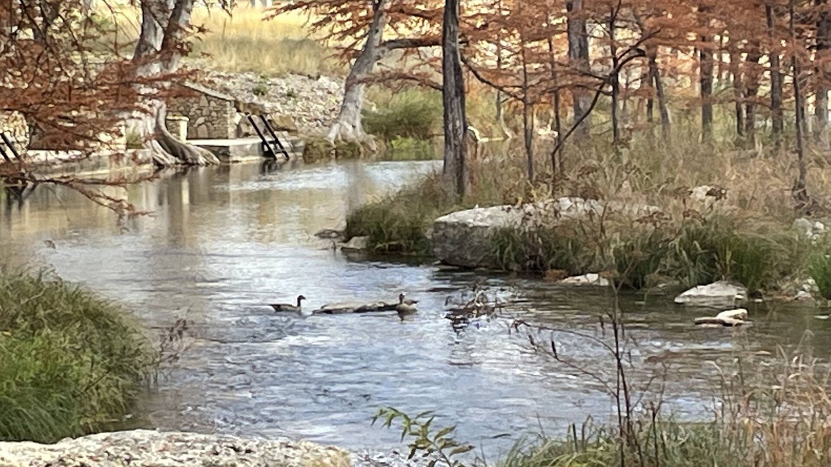 Ingram Cabin | Peaceful River Cabin #1- Paradise River Bend