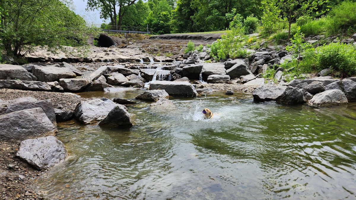 Craneridge Ski Chalet | Peaceful, Rustic Chalet in the Woods; the Heart of Ski, Bike, and Hike country.