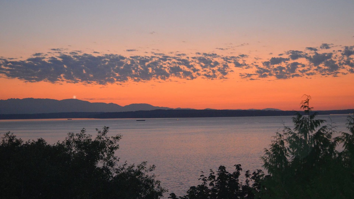 Rollingbay Apartment | Peaceful Seattle Luxury Estate Romantic Seaview Guesthouse