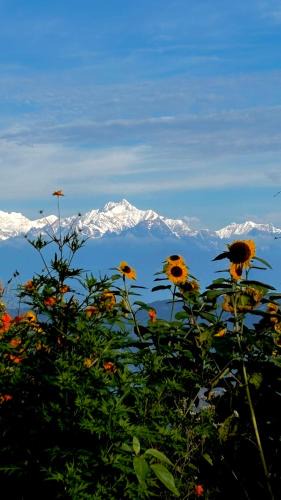 Loleygaon House | Pemazen Pakhrin Villa