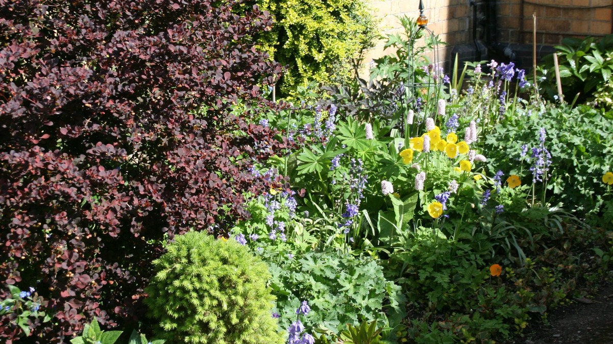 Rhayader House | Penralley House B&B