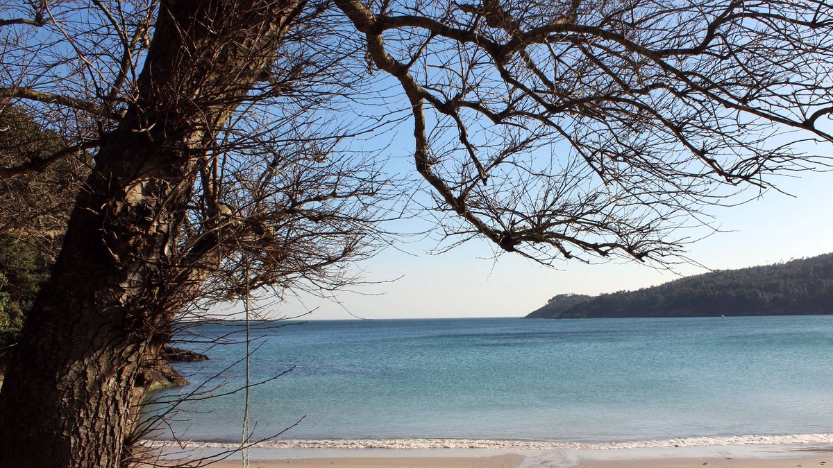 Sardinero House | Pensión Playa de Sardiñeiro