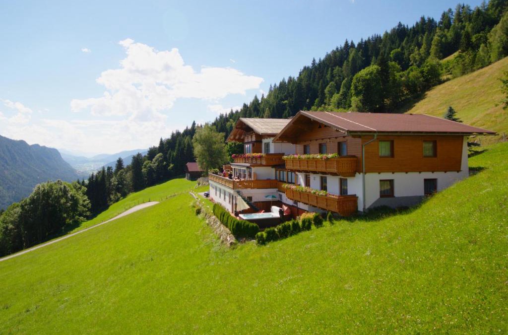 Pichl-Preunegg House | Pension Bergbauernhof Irxner
