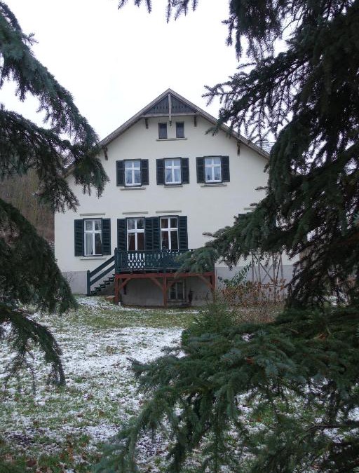 Reitwein House | Pension Gräfliche Villa
